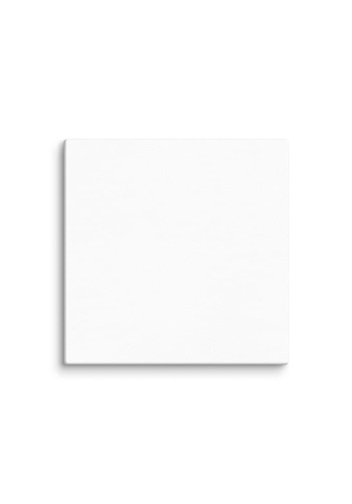Canvas (in)