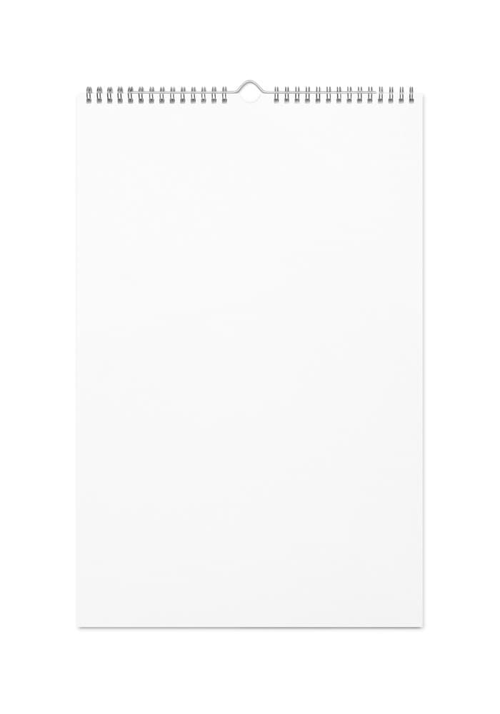 Wall Calendar (2024)