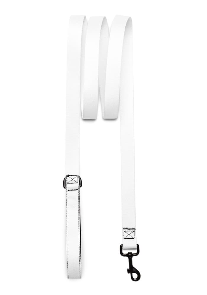 Pet Leash
