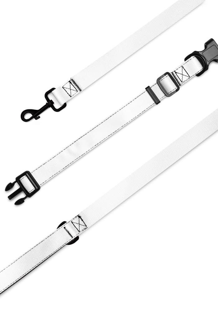 Pet Collar & Leash