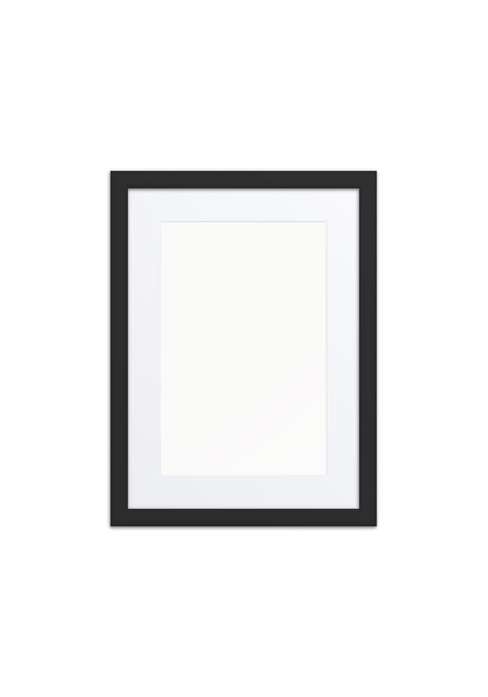 Matte Paper Framed Poster With Mat (in)