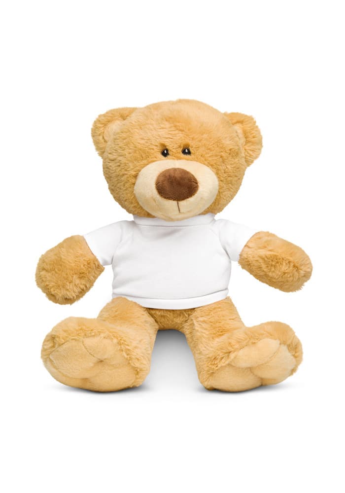 Teddy Bear with a T-shirt