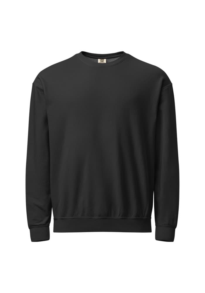 Garment-Dyed Lightweight Fleece Col rond Swea…