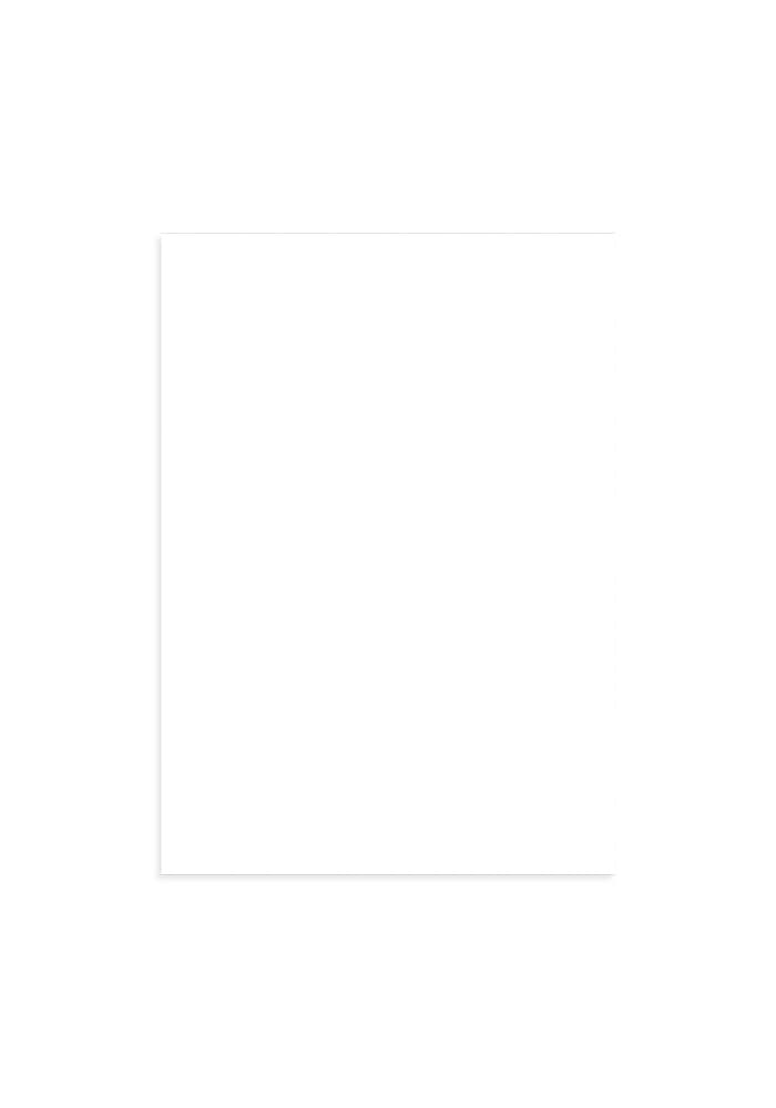 Enhanced Matte Paper Poster (in)