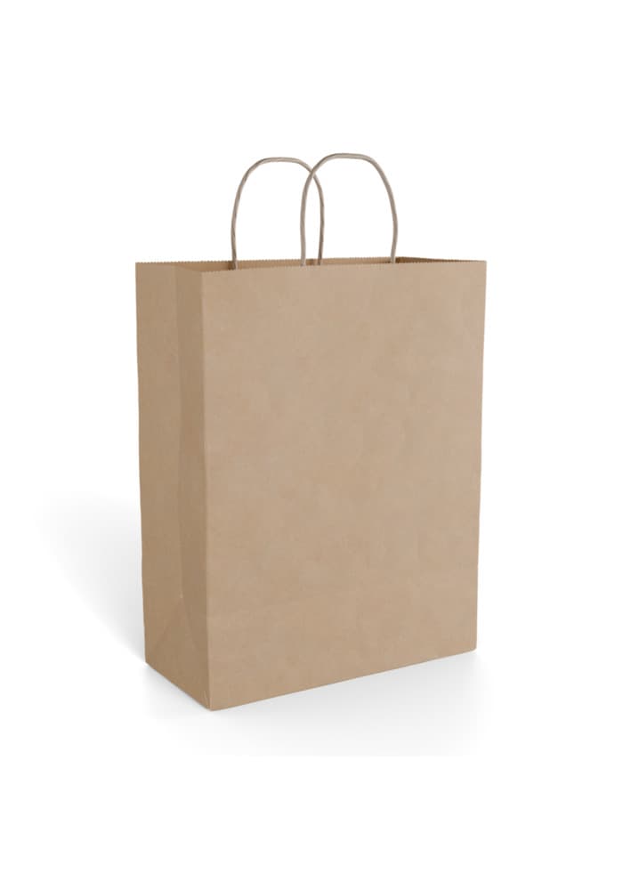 Paper Gift Bag