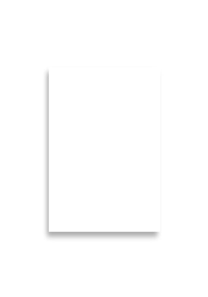 Premium Luster Photo Paper Poster (in)