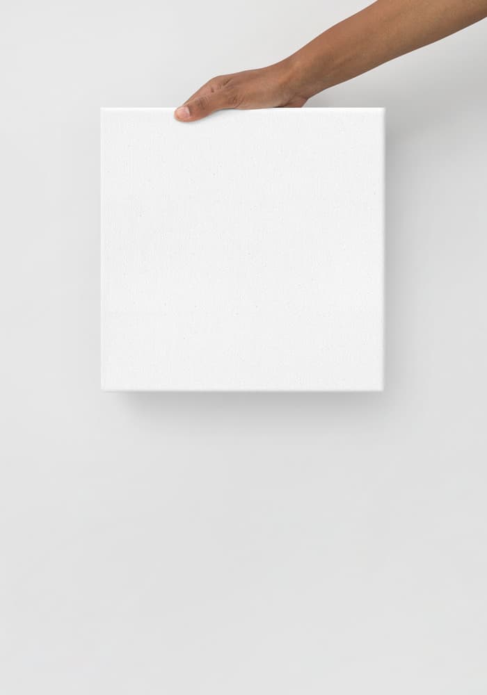 Thin Toile (in)
