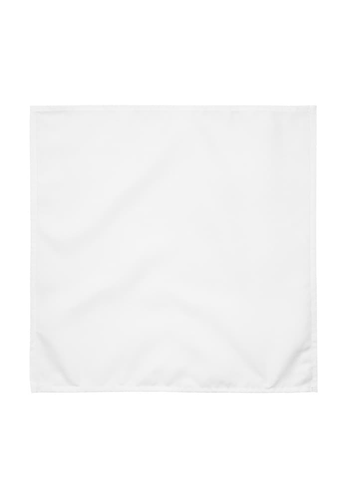 Cloth Napkin Set (4)