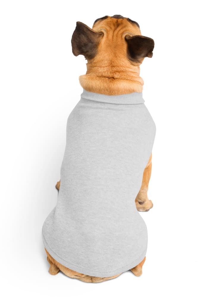 Knitted Pet Sweater